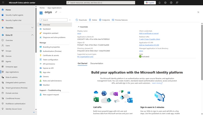 Microsoft Entra, application Overview with Application (client) ID